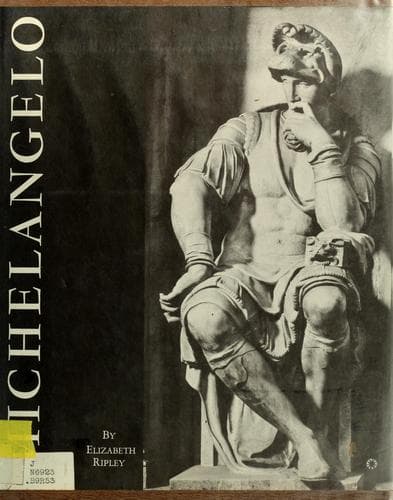 Tapa de Michelangelo