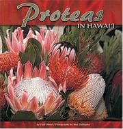 Tapa de Proteas in Hawaii