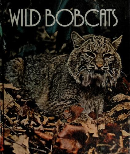 Tapa de Wild bobcats