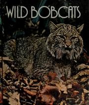 Tapa de Wild bobcats
