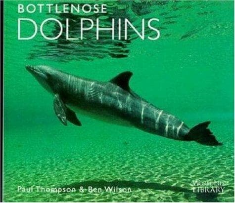 Tapa de Bottlenose dolphins