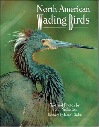 Tapa de North American wading birds