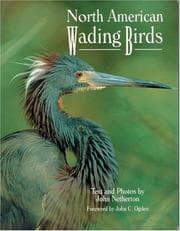 Tapa de North American wading birds