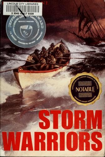 Tapa de Storm warriors