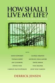 Tapa de How shall I live my life?