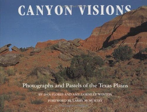 Tapa de Canyon visions