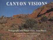 Tapa de Canyon visions
