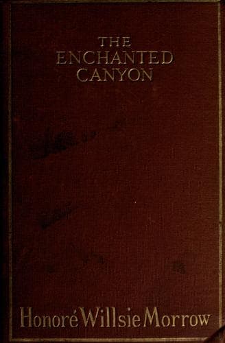 Tapa de The enchanted canyon