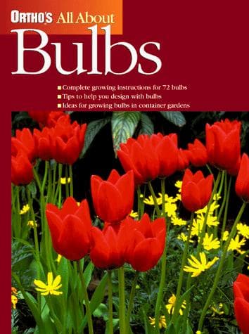 Tapa de All About Bulbs