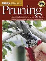 Tapa de Ortho's all about pruning