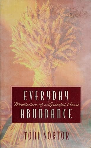 Tapa de Everyday abundance