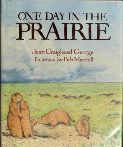 Tapa de One day in the prairie