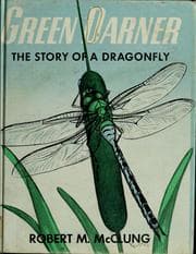 Tapa de Green Darner