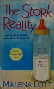 Tapa de The stork reality