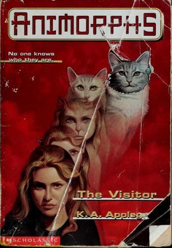 Tapa de The Visitor