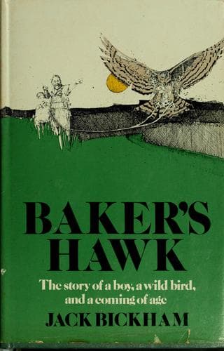 Tapa de Baker's hawk