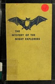 Tapa de The mystery of the night explorers