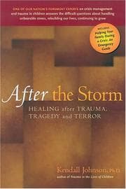 Tapa de After the Storm