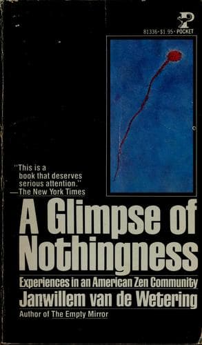 Tapa de A glimpse of nothingness