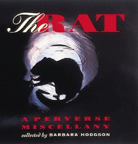 Tapa de The rat