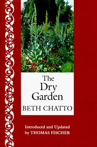 Tapa de The dry garden