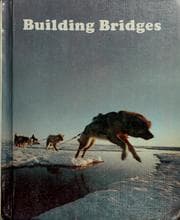 Tapa de Building bridges
