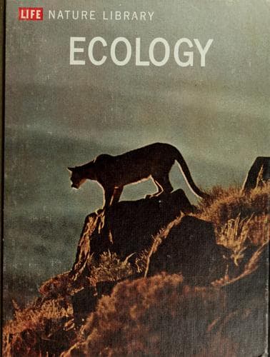 Tapa de Ecology