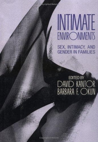 Tapa de Intimate Environments