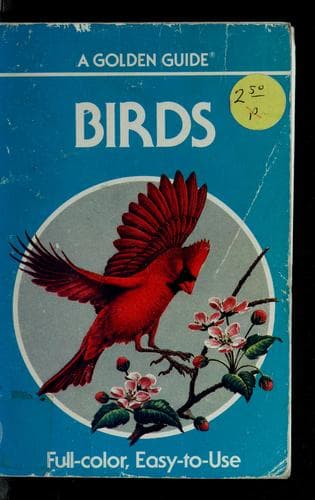 Tapa de Birds