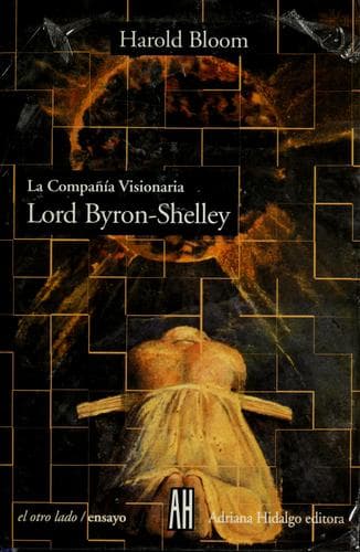 Tapa de La compañía visionaria