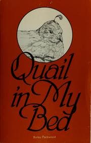Tapa de Quail in my bed