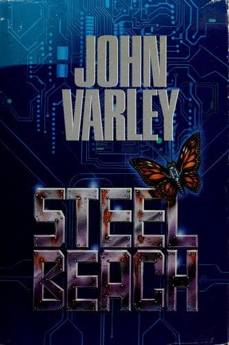 Tapa de Steel beach