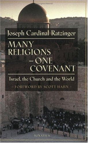 Tapa de Many Religions, One Covenant
