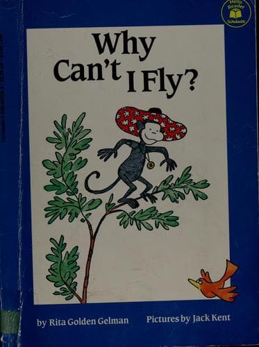 Tapa de Why can't I fly