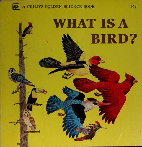 Tapa de What is a bird?