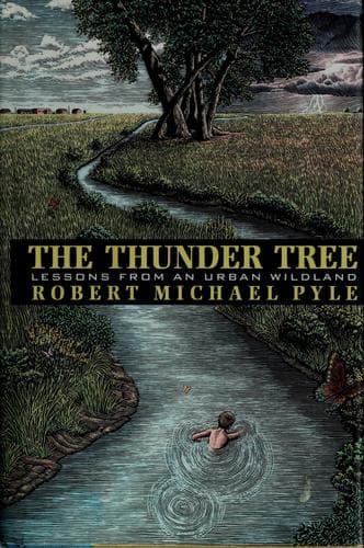 Tapa de The thunder tree