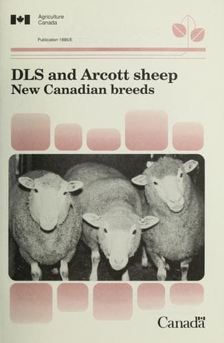Tapa de DLS and Arcott sheep
