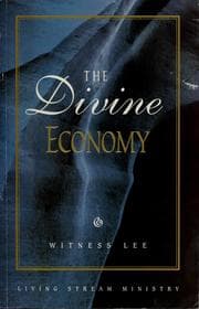Tapa de The divine economy