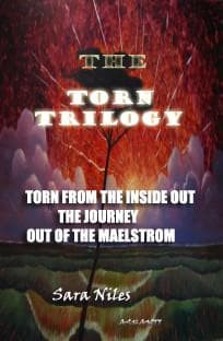 Tapa de The Torn Trilogy E-book (1084 pages)