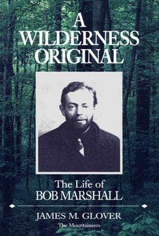 Tapa de A Wilderness Original