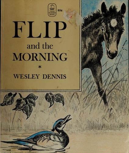 Tapa de Flip and the Morning