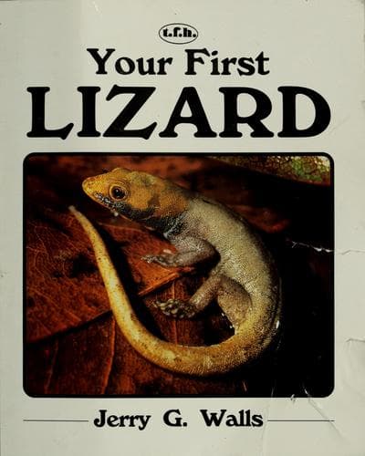 Tapa de Your first lizard