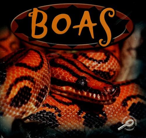 Tapa de Boas
