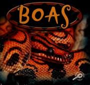 Tapa de Boas