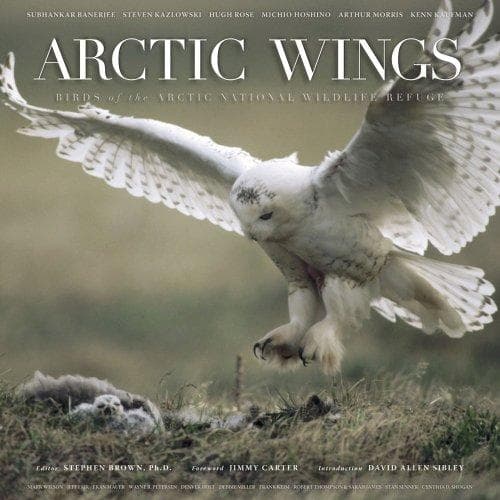 Tapa de Arctic Wings