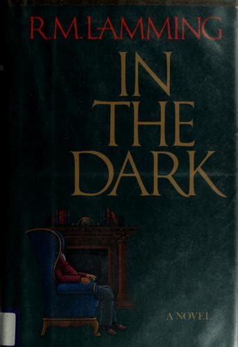 Tapa de In the dark