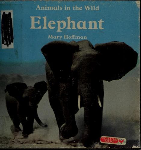 Tapa de Elephant