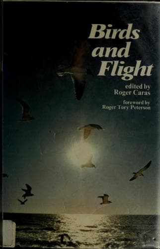 Tapa de Birds in flight