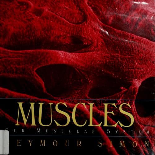 Tapa de Muscles