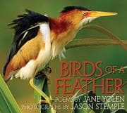 Tapa de Birds of a Feather